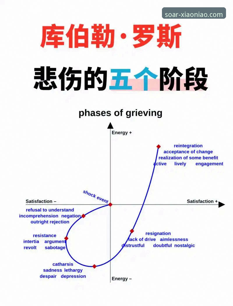 深度揭秘：巴斯克德比背后的生死较量与500场里程碑